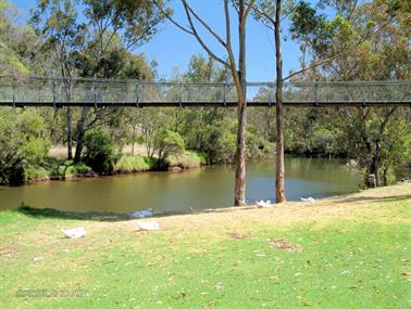The Murray River at Pinjarra, Western Australia
